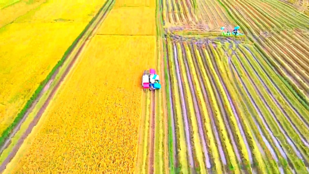 Đắk Lắk: Cư Êwi vững tin trên hành trình phát triển