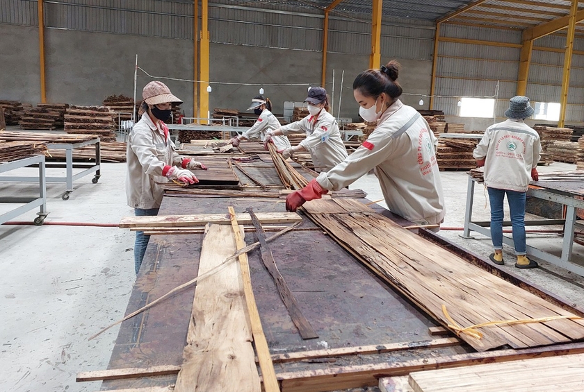 Công nhân làm việc tại Công ty cổ phần Bamboo King Vina (huyện Lang Chánh, tỉnh Thanh Hóa). Ảnh: N.D