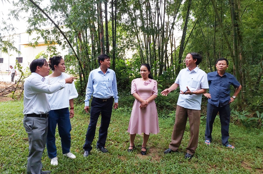 Đoàn công tác tham quan thực tế rừng tre tại huyện Lang Chánh. Ảnh: Nguyễn Diệp