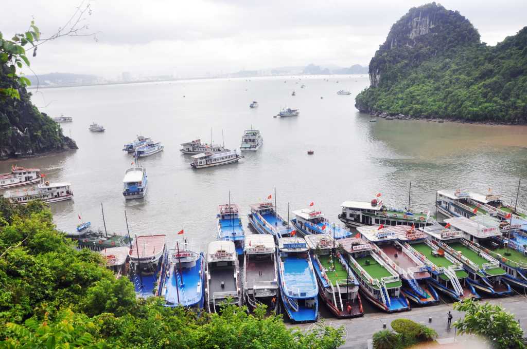 Quảng Ninh: Nâng cao chất lượng đội tàu du lịch trên Vịnh Hạ Long Quảng Ninh: Nâng cao chất lượng đội tàu du lịch trên Vịnh Hạ Long