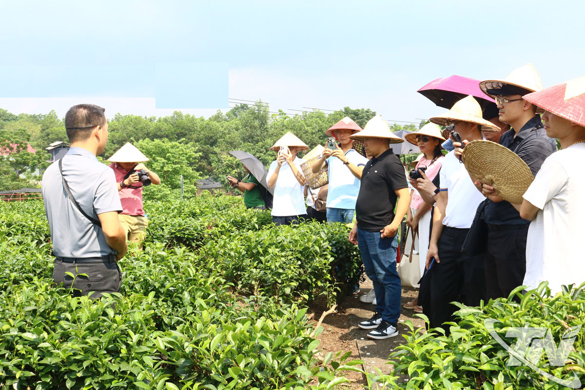Thái Nguyên: Du lịch bền vững - hướng đi tất yếu thời hội nhập Thái Nguyên: Du lịch bền vững - hướng đi tất yếu thời hội nhập