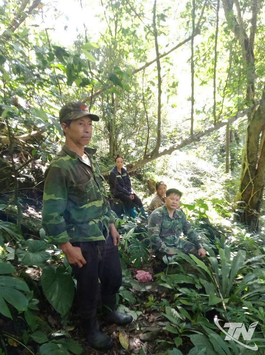 Thái Nguyên: Biến rừng xanh thành "rừng giàu" Thái Nguyên: Biến rừng xanh thành "rừng giàu"