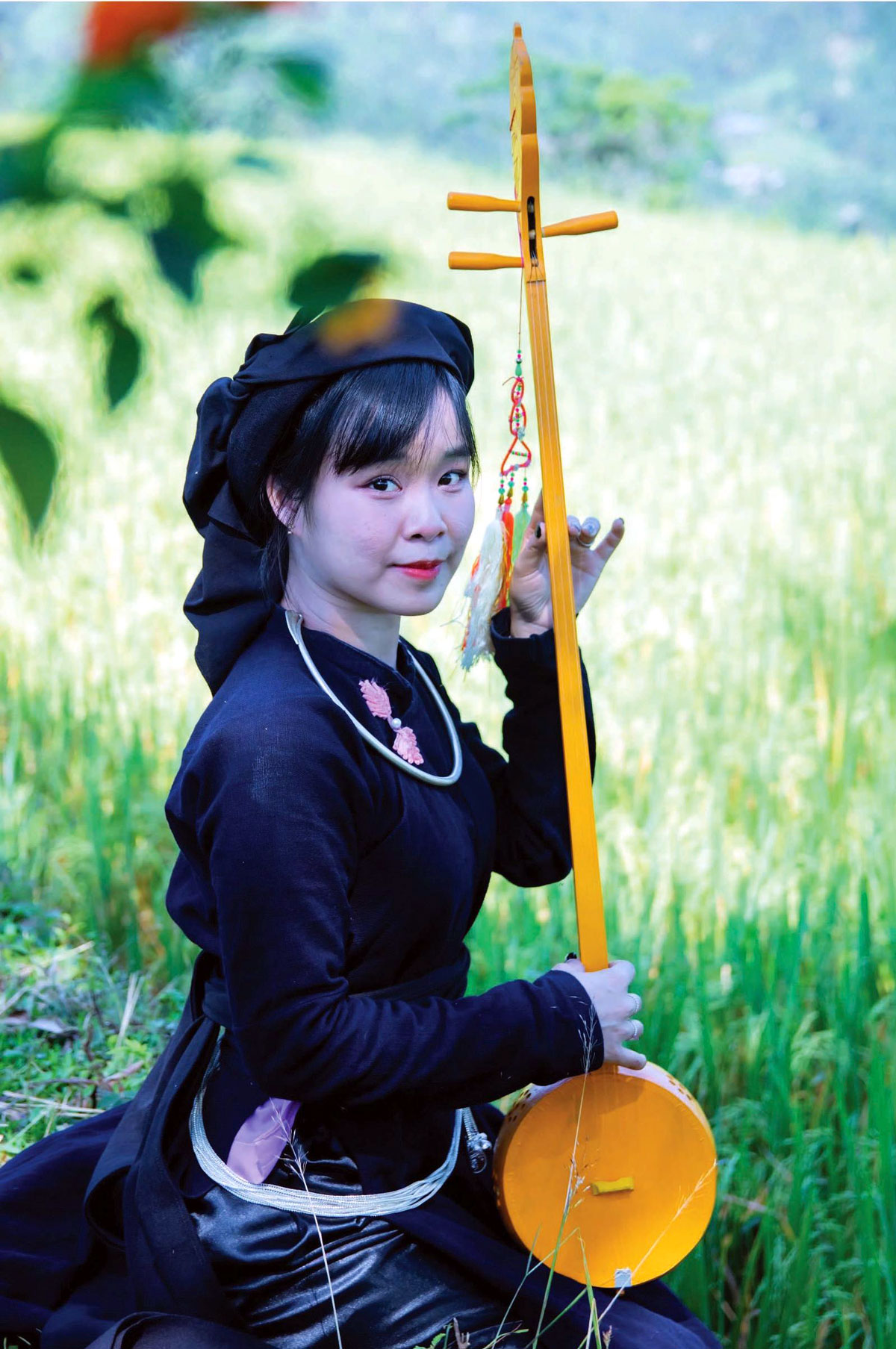 Thái Nguyên: Rực rỡ những bông hoa núi Thái Nguyên: Rực rỡ những bông hoa núi