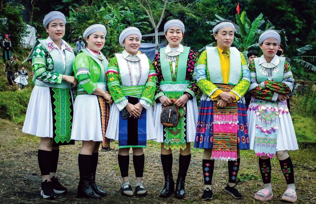 Thái Nguyên: Rực rỡ những bông hoa núi Thái Nguyên: Rực rỡ những bông hoa núi