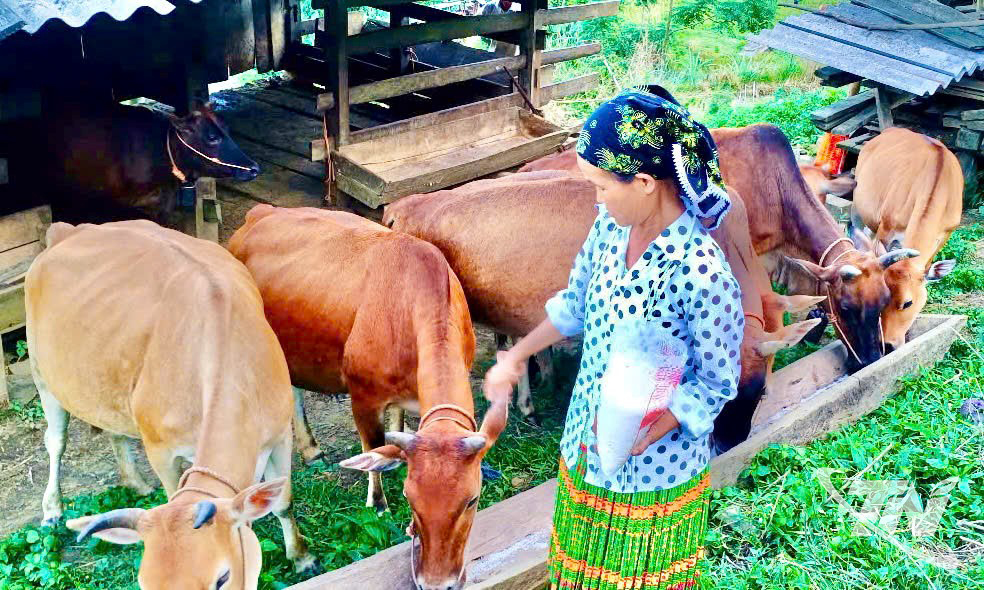 Thái Nguyên: Chuyện làm giàu trên đất nghèo Thái Nguyên: Chuyện làm giàu trên đất nghèo