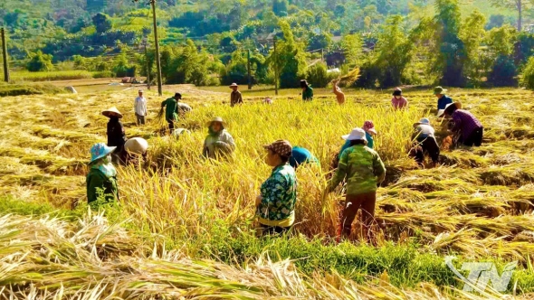 Thái Nguyên: Chuyện làm giàu trên đất nghèo