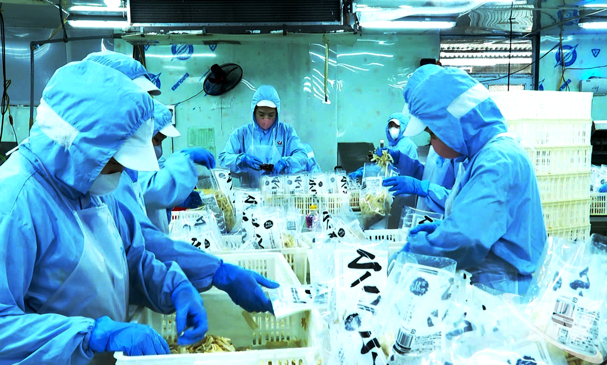 Thái Nguyên: Nâng tầm sản phẩm công nghiệp nông thôn Thái Nguyên: Nâng tầm sản phẩm công nghiệp nông thôn