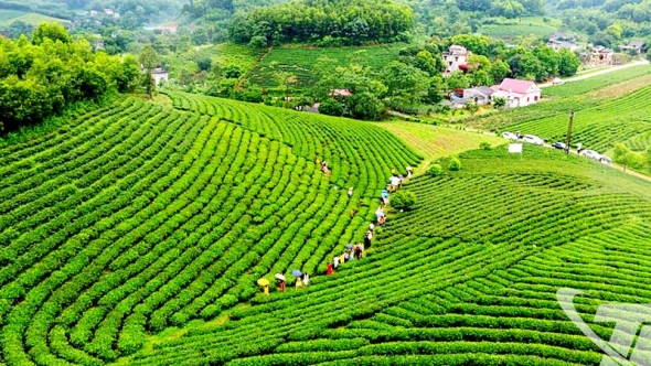 Thái Nguyên: Khai thác tiềm năng du lịch xanh