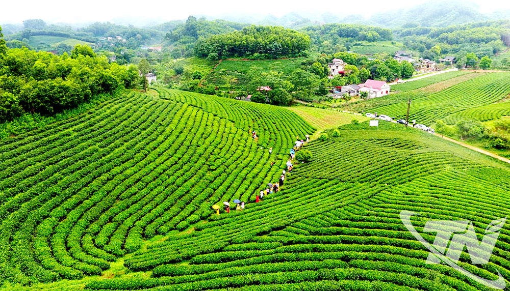 Thái Nguyên: Khai thác tiềm năng du lịch xanh Thái Nguyên: Khai thác tiềm năng du lịch xanh