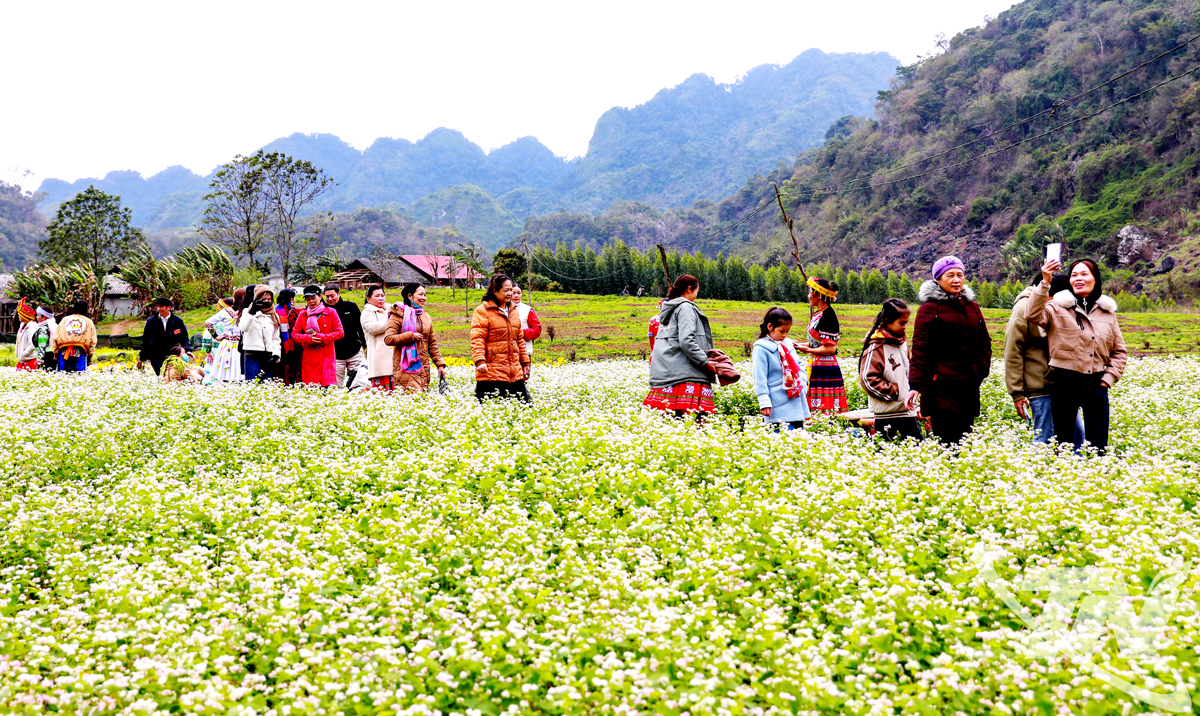 Thái Nguyên: Khai thác tiềm năng du lịch xanh Thái Nguyên: Khai thác tiềm năng du lịch xanh