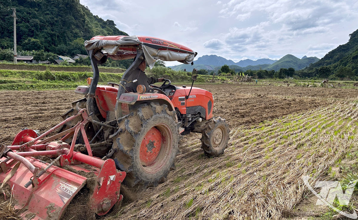 Thái Nguyên: Hồi sinh đồng ruộng, mùa màng Thái Nguyên: Hồi sinh đồng ruộng, mùa màng