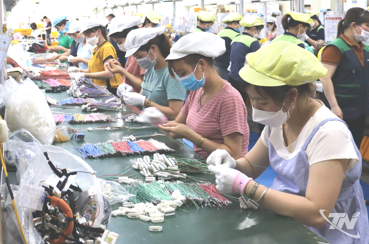 Thái Nguyên: Xứ trà rộn ràng hướng đến ngày hội lớn Thái Nguyên: Xứ trà rộn ràng hướng đến ngày hội lớn