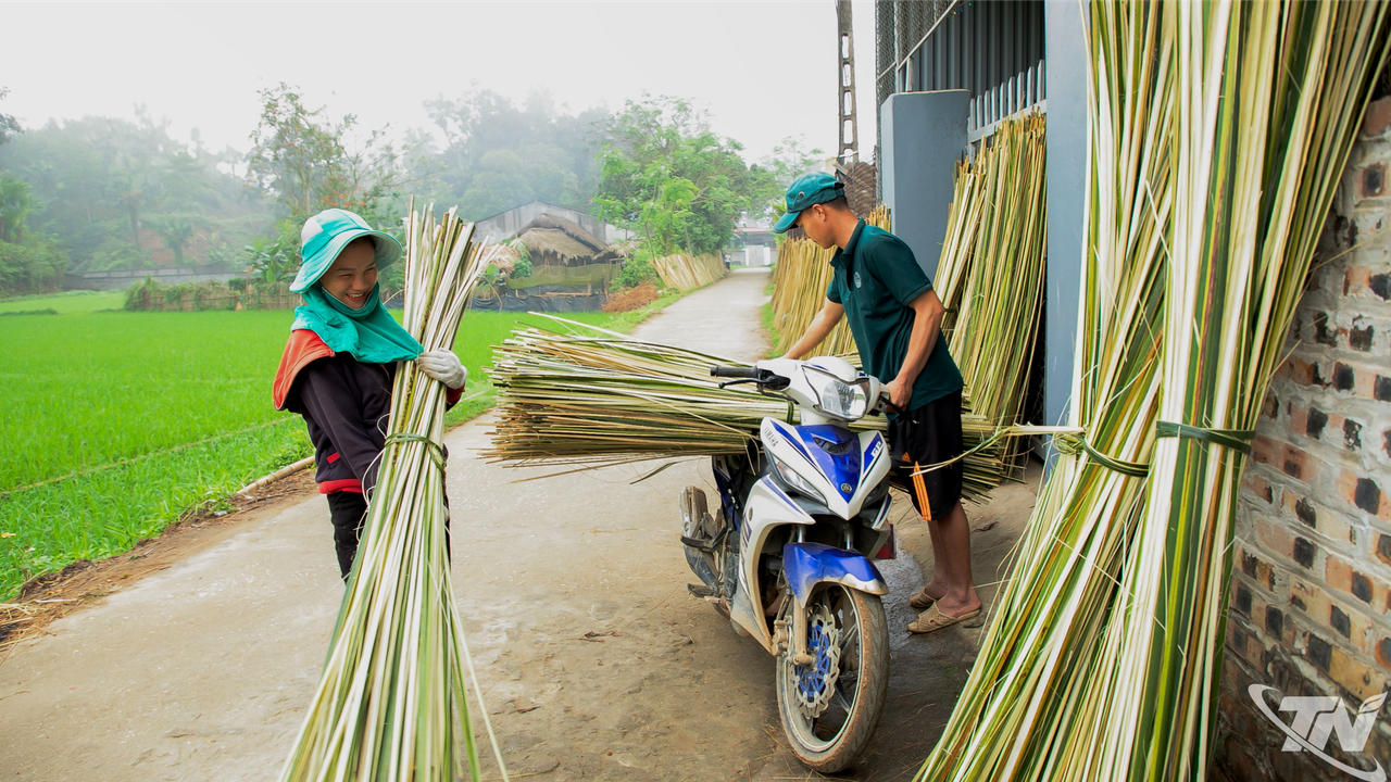 Thái Nguyên: Mành cọ trong nếp xưa