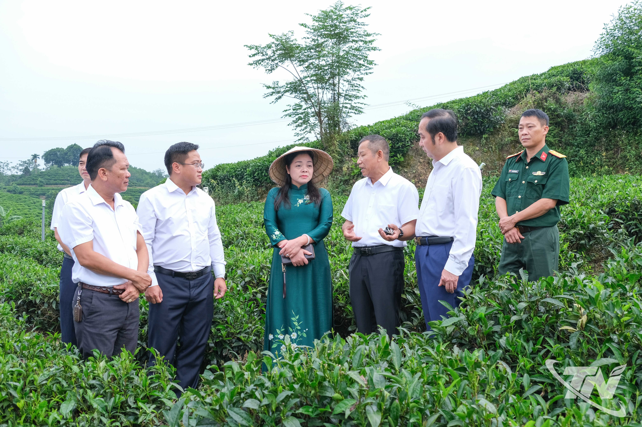 Thái Nguyên: "Khe Cốc - Dư vị từ nguồn xanh" lan tỏa văn hóa trà Thái Nguyên: "Khe Cốc - Dư vị từ nguồn xanh" lan tỏa văn hóa trà