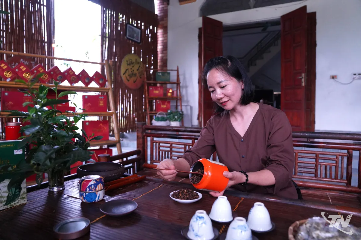 Thái Nguyên: Hoa trà lên men - Sản phẩm mới tiềm năng Thái Nguyên: Hoa trà lên men - Sản phẩm mới tiềm năng