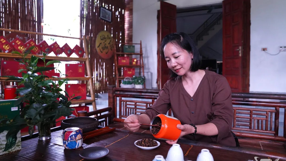 Thái Nguyên: Hoa trà lên men - Sản phẩm mới tiềm năng