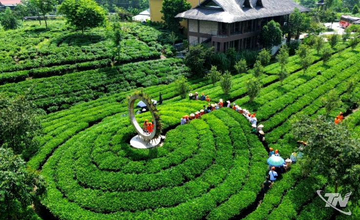 Thái Nguyên: Đẩy mạnh quảng bá, tôn vinh sản phẩm OCOP tiêu biểu