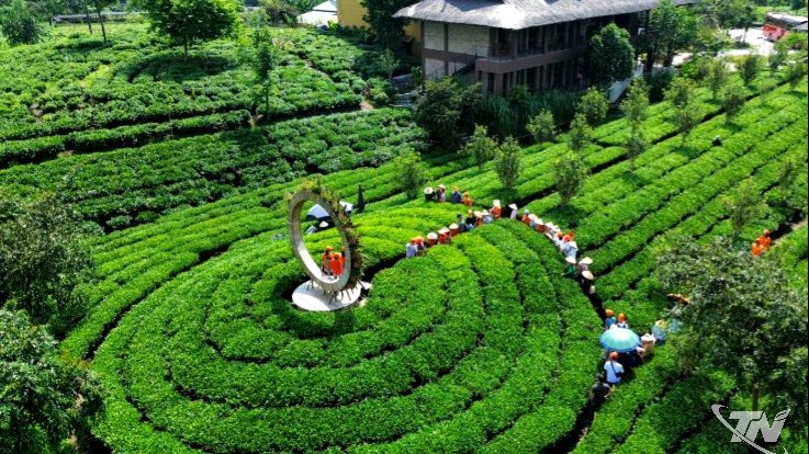 Thái Nguyên: Đẩy mạnh quảng bá, tôn vinh sản phẩm OCOP tiêu biểu