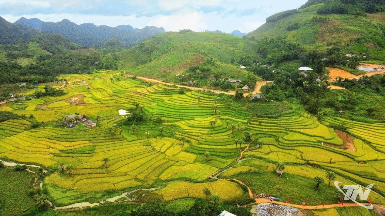 Thái Nguyên: Hương lúa tháng Mười