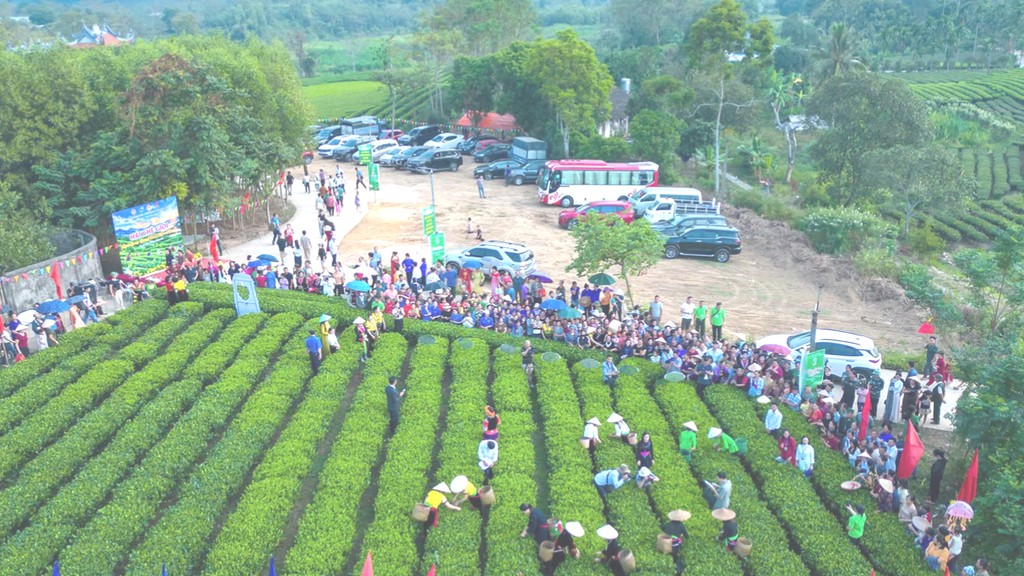 Thái Nguyên: Đồng Hỷ lan tỏa giá trị văn hóa trà Trại Cài