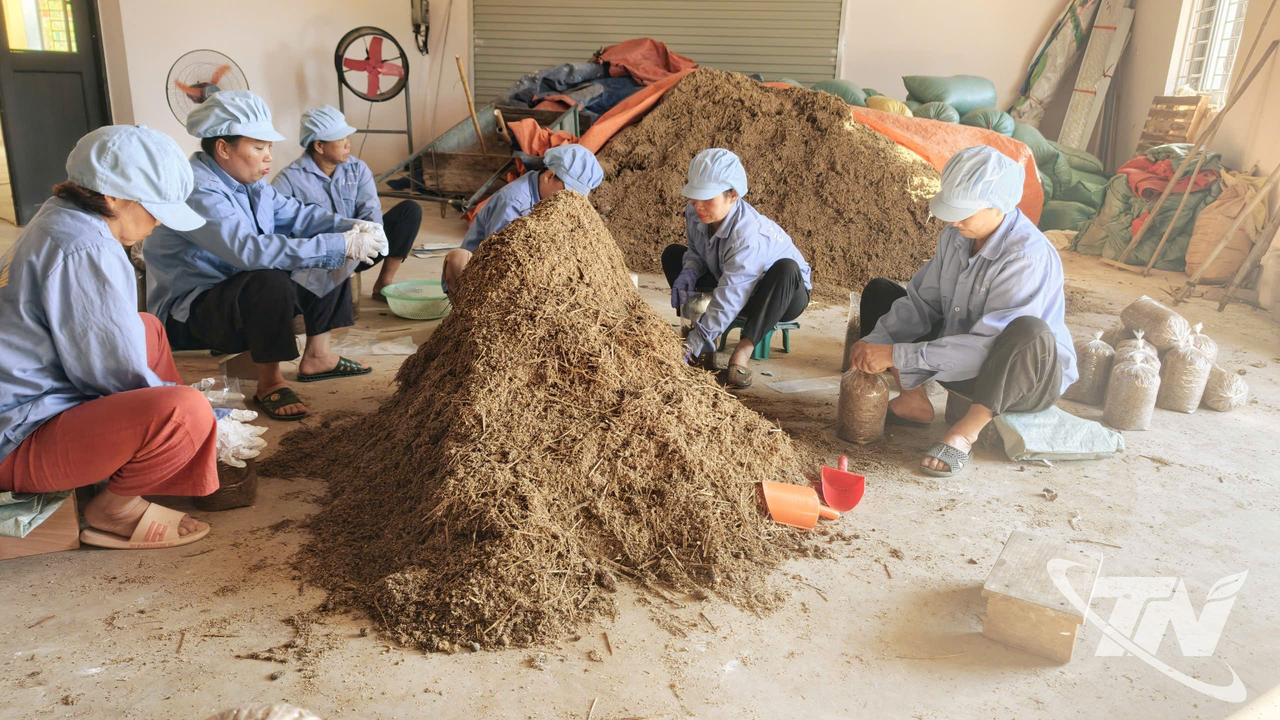 Thái Nguyên: Triển vọng xây dựng sản phẩm OCOP tại các xã vùng cao Thái Nguyên: Triển vọng xây dựng sản phẩm OCOP tại các xã vùng cao
