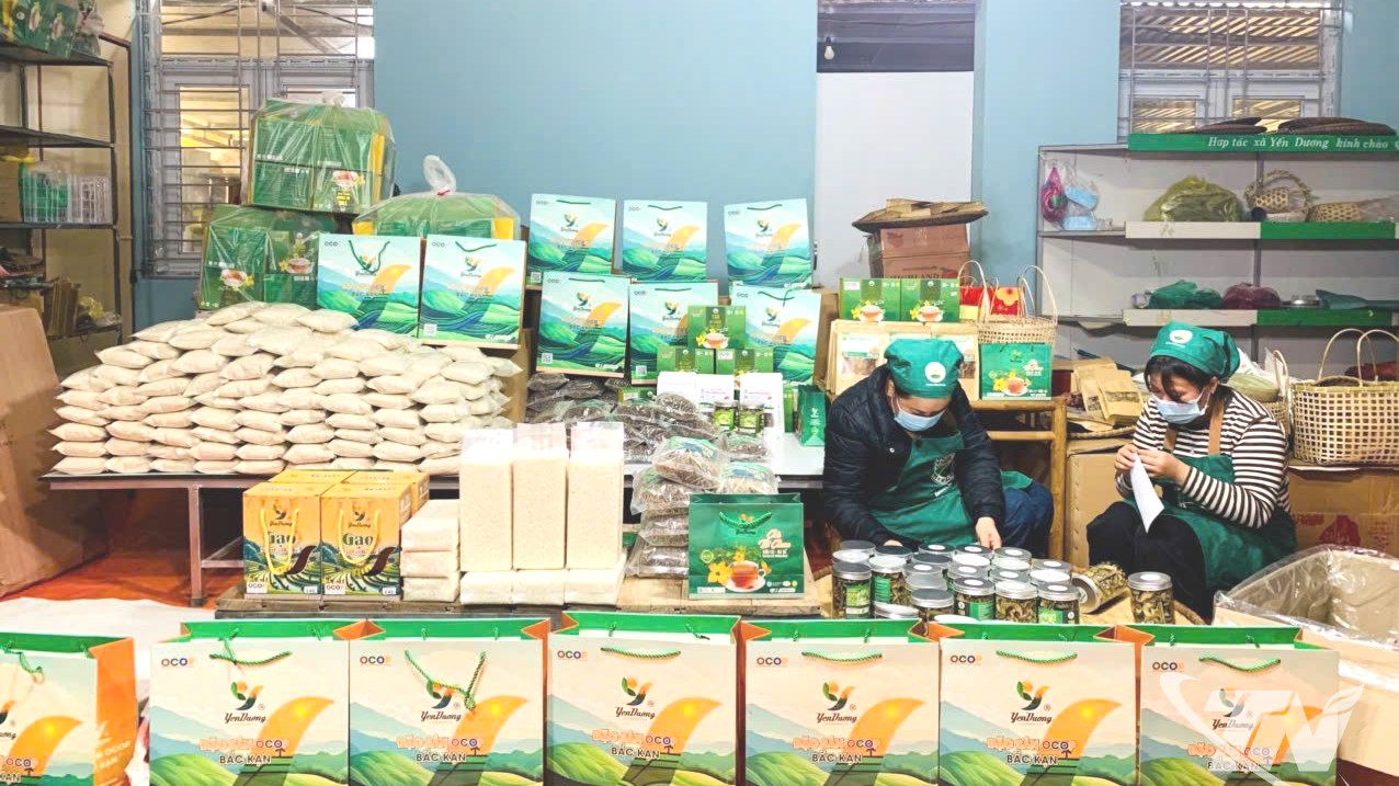 Thái Nguyên: Triển vọng xây dựng sản phẩm OCOP tại các xã vùng cao