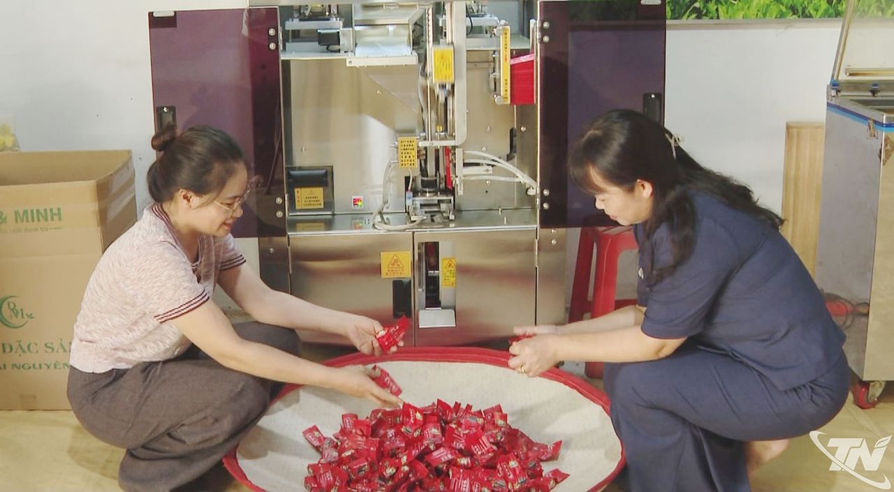 Thái Nguyên: Nâng tầm giá trị chè Khuôn Gà Thái Nguyên: Nâng tầm giá trị chè Khuôn Gà