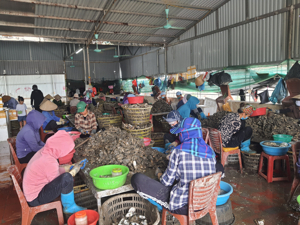 Quảng Ninh: Vùng nuôi tập trung Cái Rồng Quảng Ninh: Vùng nuôi tập trung Cái Rồng