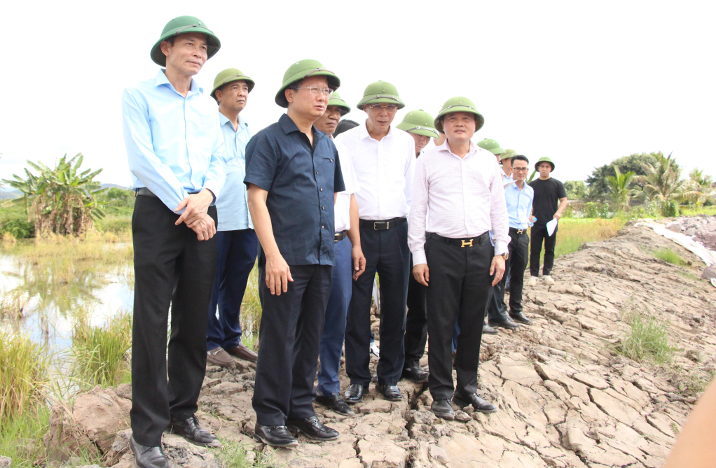 Quảng Ninh: Đồng chí Quyền Chủ tịch UBND tỉnh kiểm tra dự án đường dẫn cầu Bến Rừng Quảng Ninh: Đồng chí Quyền Chủ tịch UBND tỉnh kiểm tra dự án đường dẫn cầu Bến Rừng