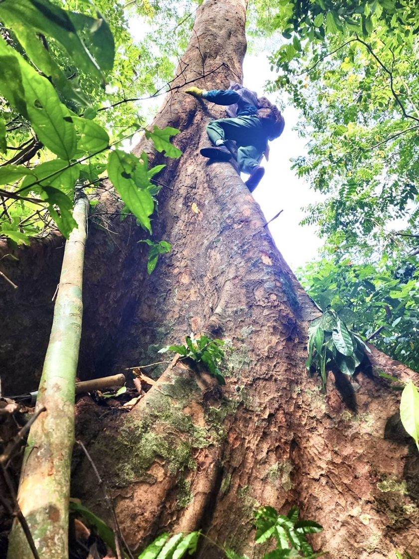 Với cái nghề “ăn cơm dưới đất, làm việc trên cây” này, chỉ cần một chút chủ quan là có thể trả giá bằng cả tính mạng. Ảnh: Minh Nguyễn Với cái nghề “ăn cơm dưới đất, làm việc trên cây” này, chỉ cần một chút chủ quan là có thể trả giá bằng cả tính mạng. Ảnh: Minh Nguyễn