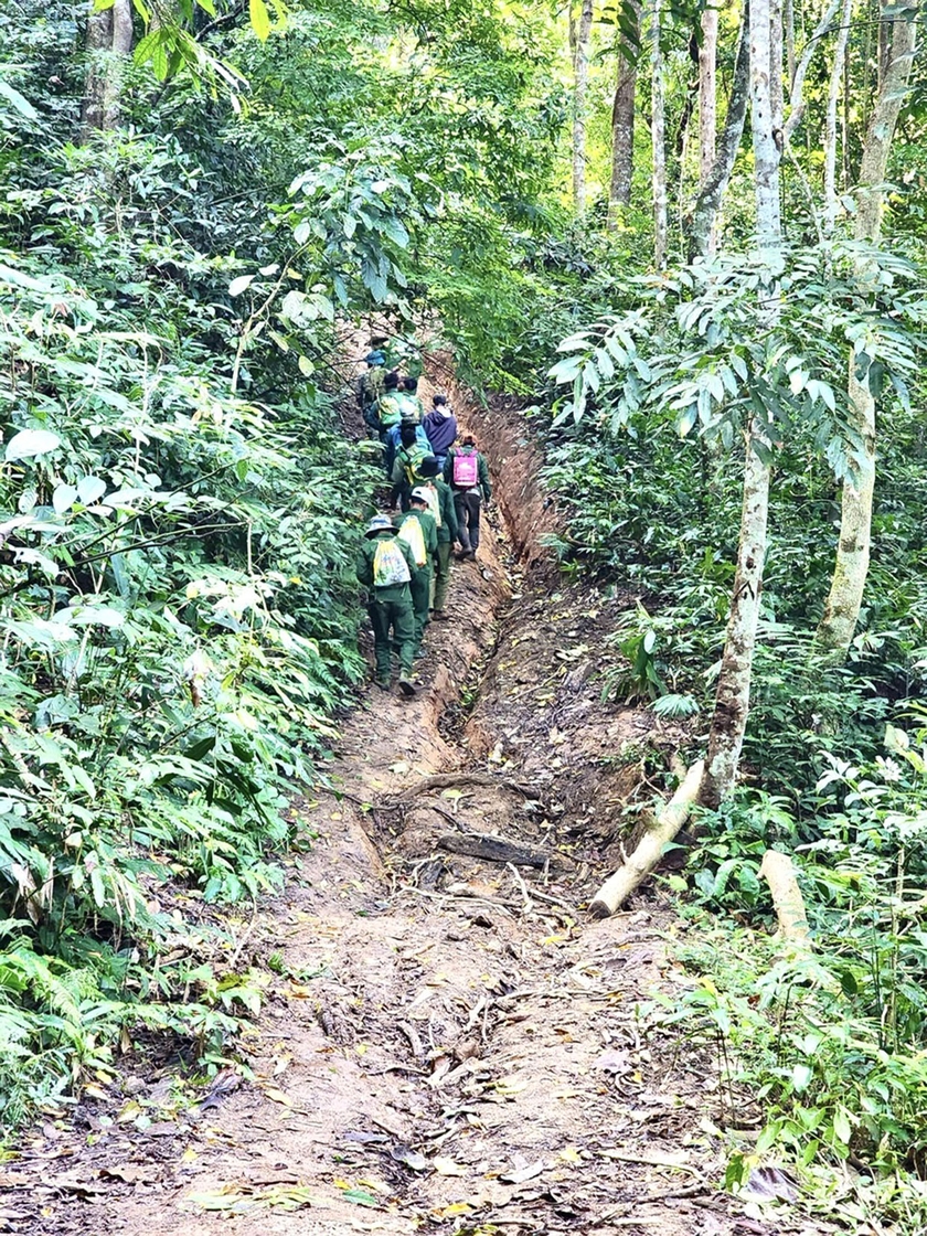 Những người đã thạo việc đi rừng thì mỗi ngày cũng có thu nhập từ 400 đến 600 ngàn đồng. Ảnh: Minh Nguyễn Những người đã thạo việc đi rừng thì mỗi ngày cũng có thu nhập từ 400 đến 600 ngàn đồng. Ảnh: Minh Nguyễn