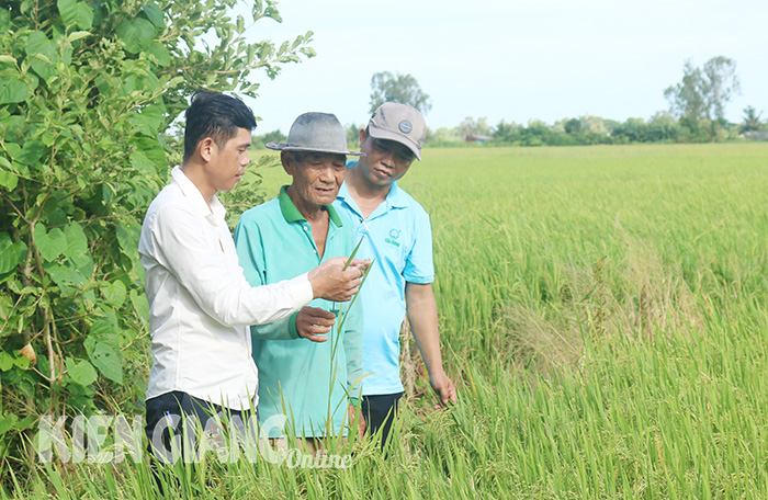 Kiên Giang: Tăng cường vận động người dân phát triển sản phẩm OCOP Kiên Giang: Tăng cường vận động người dân phát triển sản phẩm OCOP