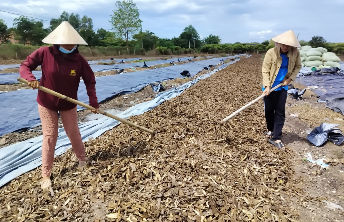 Tây Ninh: Nỗ lực vượt khó của 2 em học sinh mồ côi Tây Ninh: Nỗ lực vượt khó của 2 em học sinh mồ côi