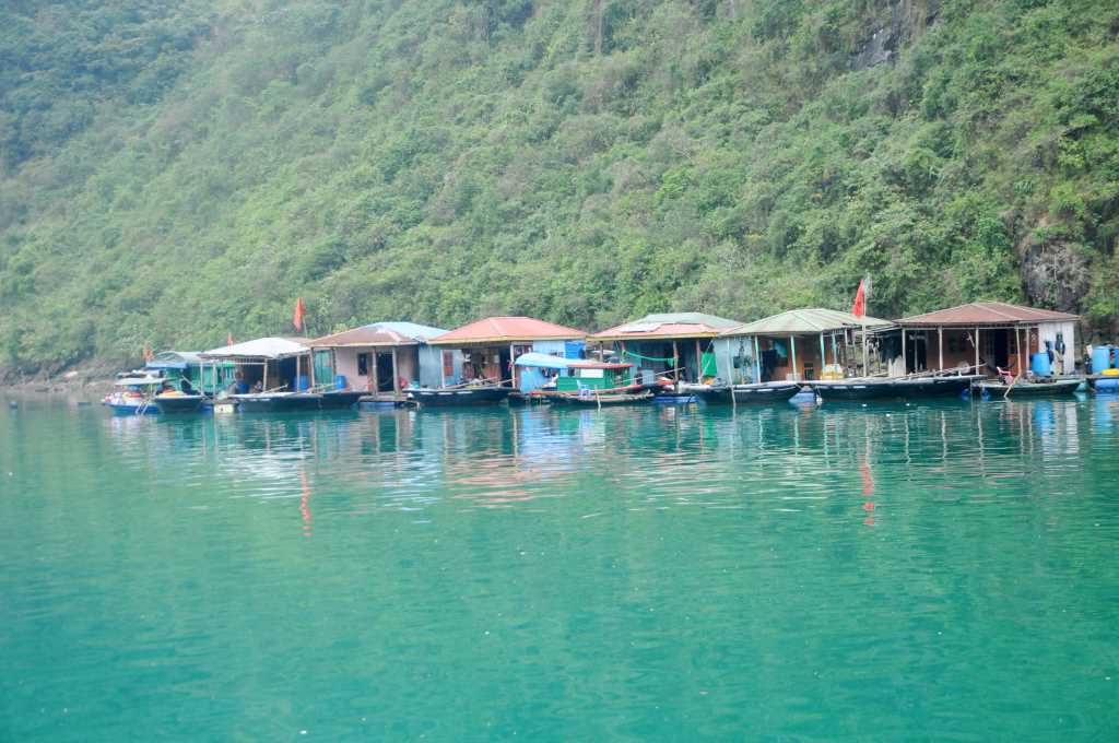 Quảng Ninh: Đề xuất đưa nuôi trồng thuỷ sản trên vịnh thành sản phẩm du lịch