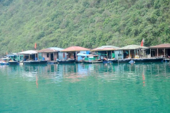 Quảng Ninh: Đề xuất đưa nuôi trồng thuỷ sản trên vịnh thành sản phẩm du lịch