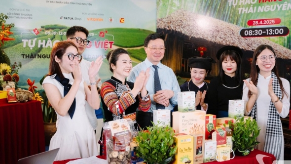 Thái Nguyên: Hướng đi mới từ cây sâm Bố Chính