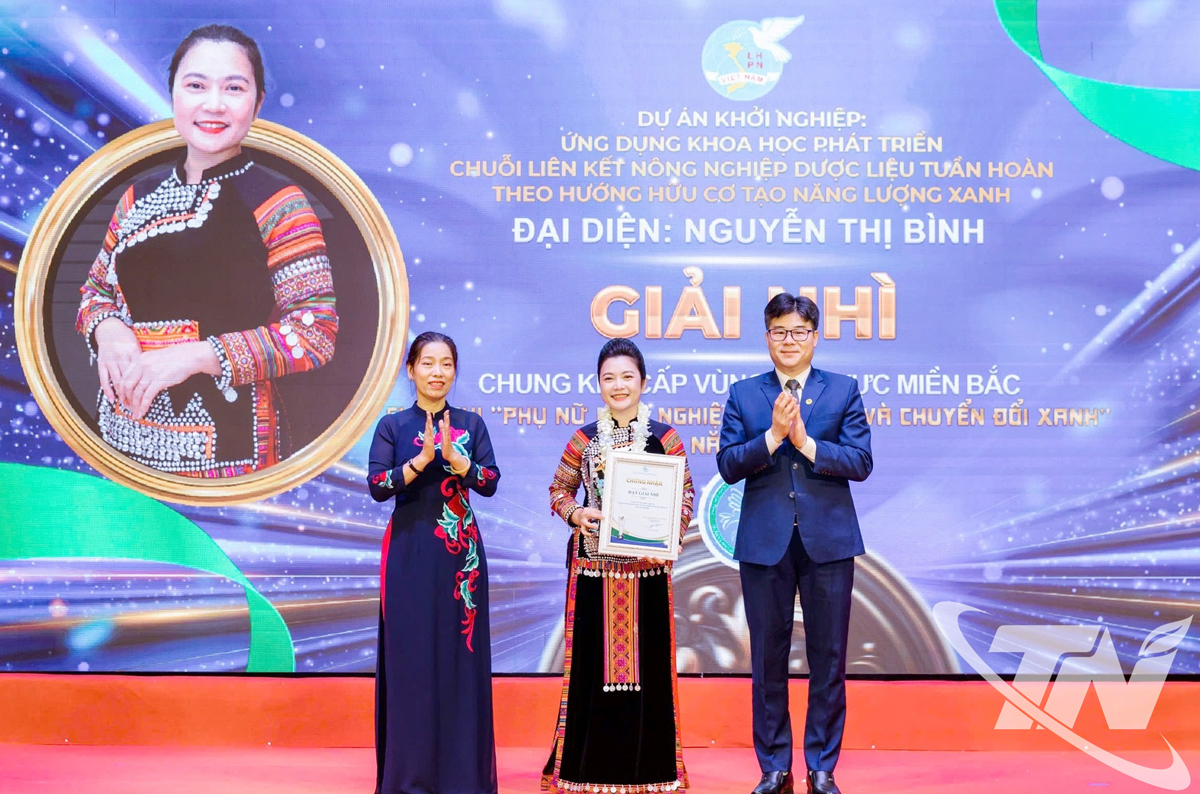 Thái Nguyên: Hướng đi mới từ cây sâm Bố Chính Thái Nguyên: Hướng đi mới từ cây sâm Bố Chính