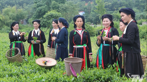 Thái Nguyên: Khởi sắc ở một khu dân cư