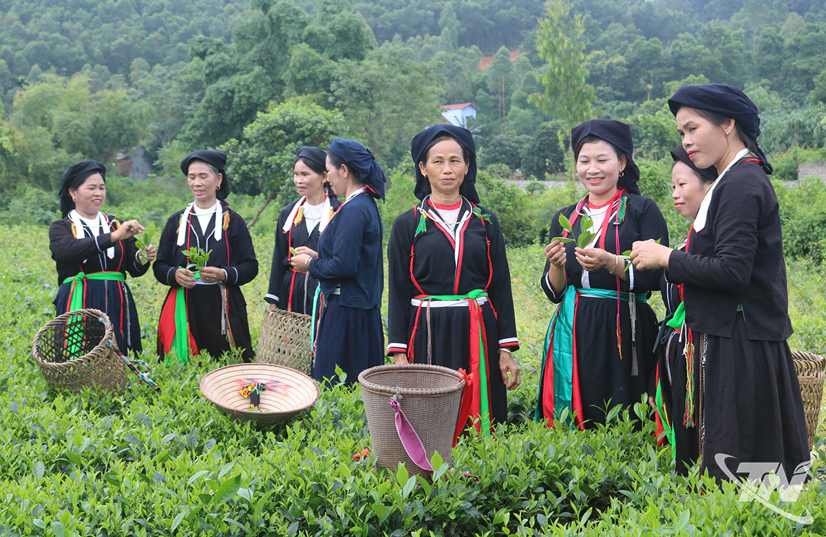 Thái Nguyên: Khởi sắc ở một khu dân cư Thái Nguyên: Khởi sắc ở một khu dân cư