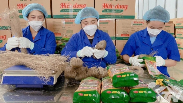 Thái Nguyên: Côn Minh - Mùa nối mùa