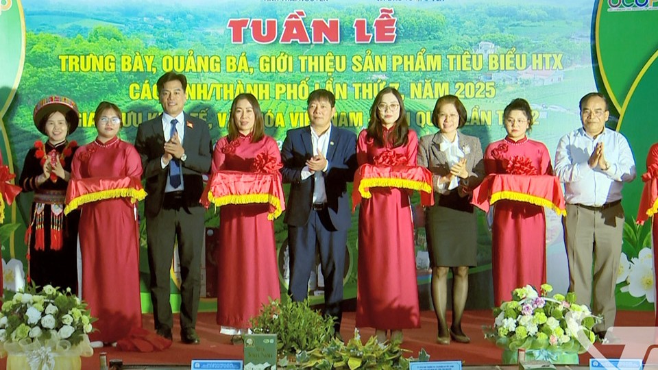 Thái Nguyên kết nối cung cầu sản phẩm hợp tác xã và giao lưu kinh tế Việt Nam – Hàn Quốc