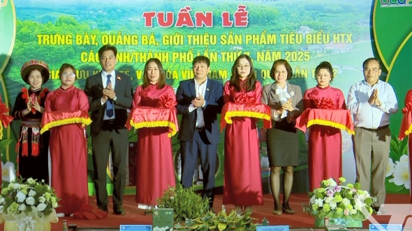 Thái Nguyên kết nối cung cầu sản phẩm hợp tác xã và giao lưu kinh tế Việt Nam – Hàn Quốc