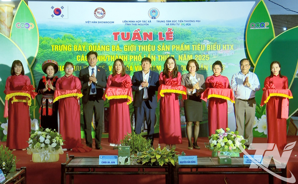 Thái Nguyên kết nối cung cầu sản phẩm hợp tác xã và giao lưu kinh tế Việt Nam – Hàn Quốc