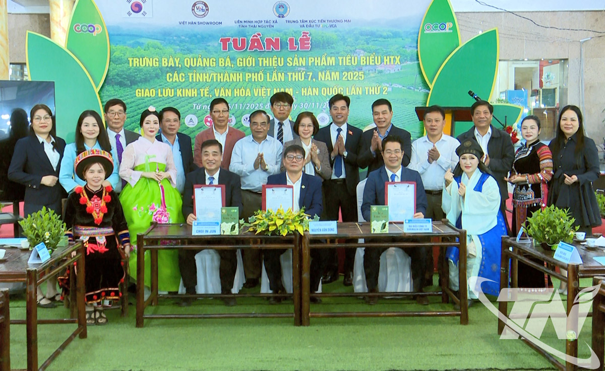 Thái Nguyên kết nối cung cầu sản phẩm hợp tác xã và giao lưu kinh tế Việt Nam – Hàn Quốc