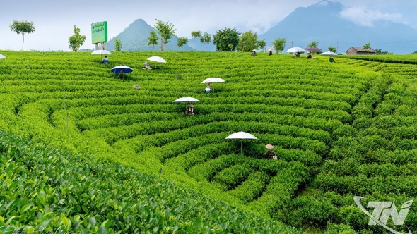 Kể chuyện Thái Nguyên bằng hình ảnh