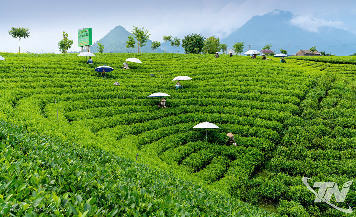 Kể chuyện Thái Nguyên bằng hình ảnh