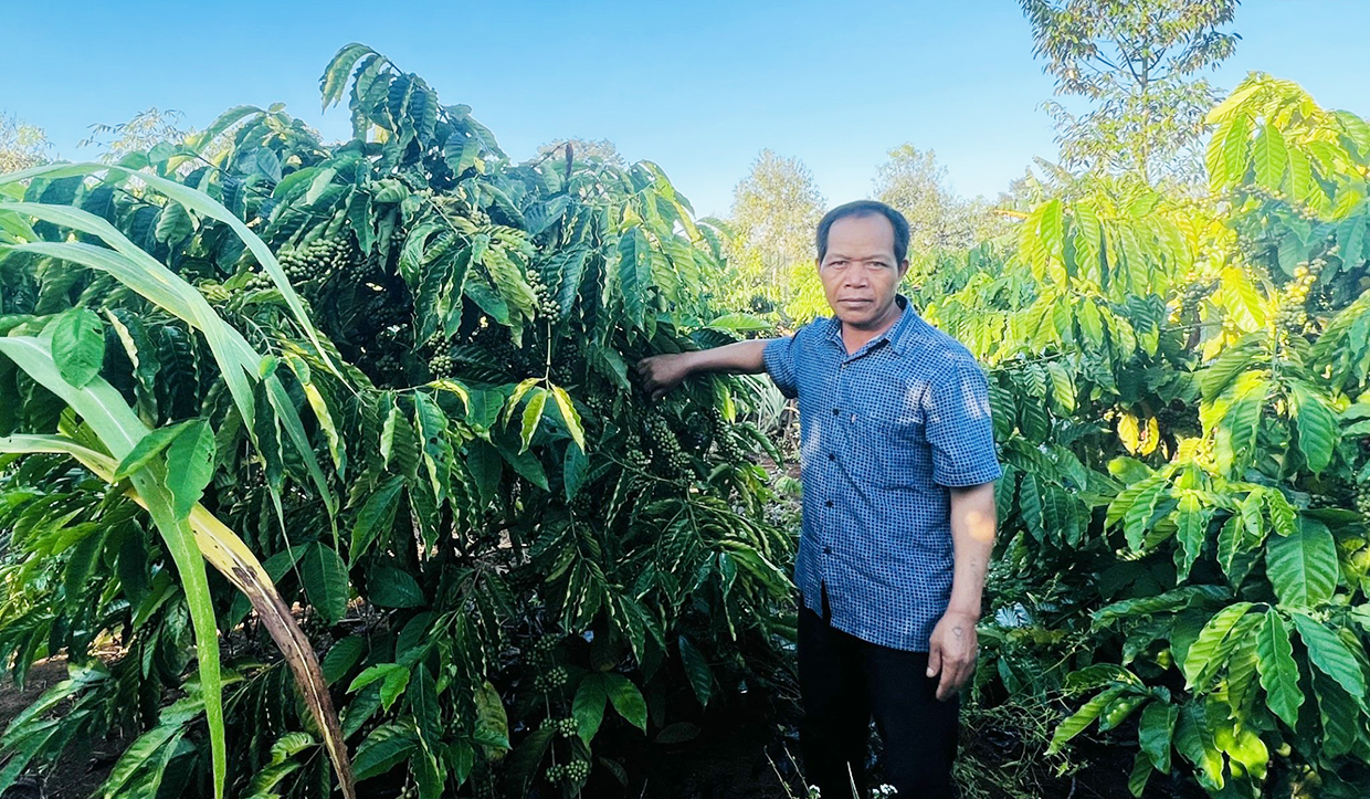 Gia Lai: Vị “quan tòa“ của làng Mrông Ngó 4 Gia Lai: Vị “quan tòa“ của làng Mrông Ngó 4