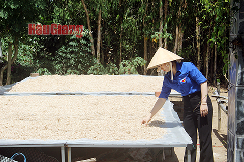 Hậu Giang: Khởi nghiệp từ thế mạnh của địa phương