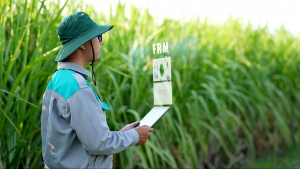 Tây Ninh: Định hướng ưu tiên đề xuất, đặt hàng nhiệm vụ khoa học và kỹ thuật - Báo Tây Ninh Online