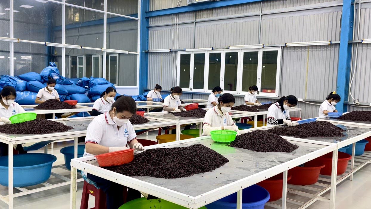 Gia Lai: Khai thác tiềm năng, thế mạnh của kinh tế tư nhân Gia Lai: Khai thác tiềm năng, thế mạnh của kinh tế tư nhân